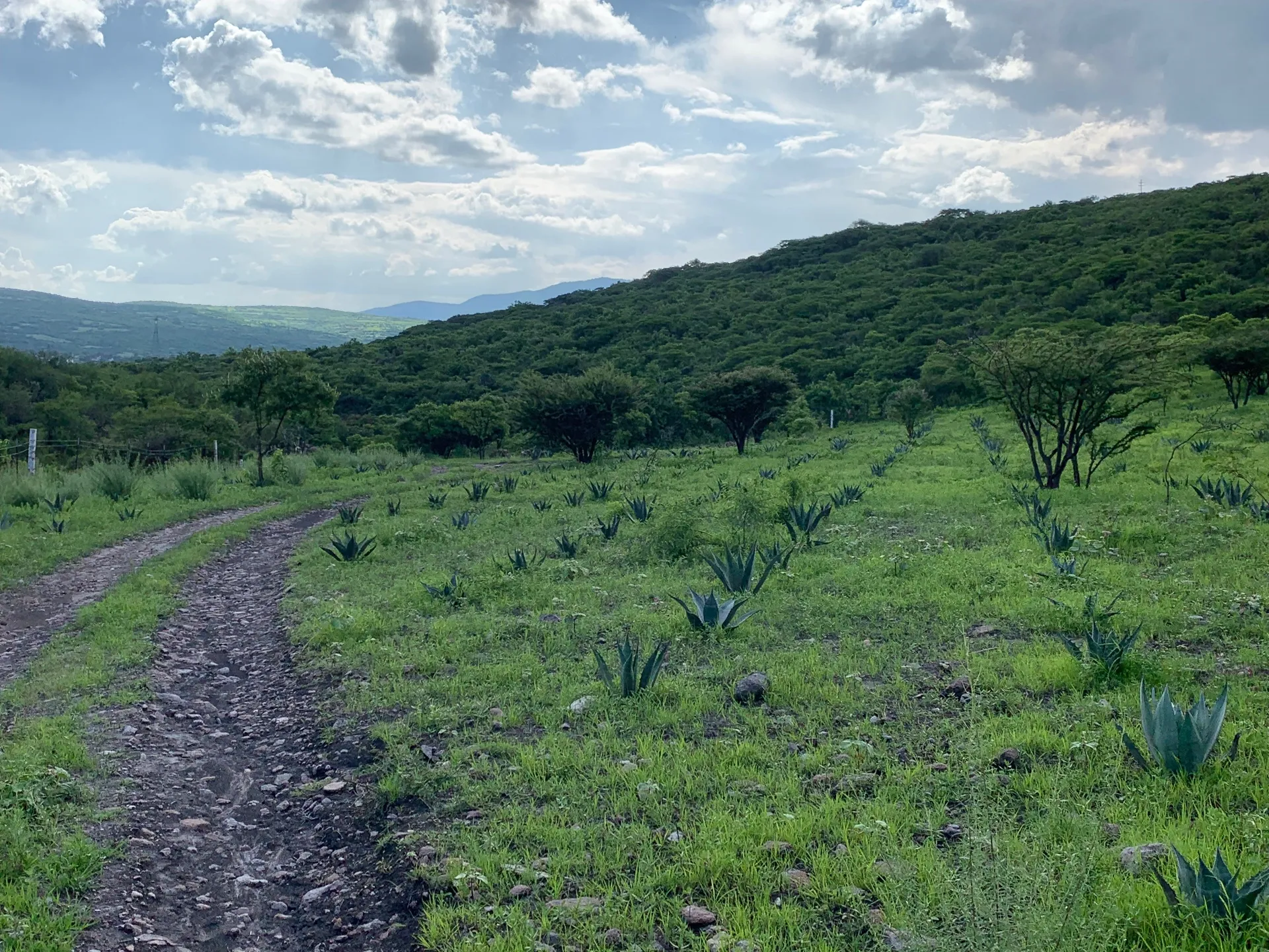 Caminos del rancho